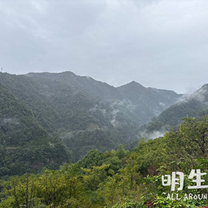 伴一场秋雨 漫步四明山