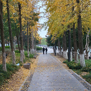 城区的优美风景