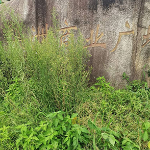 这是草场还是广场？