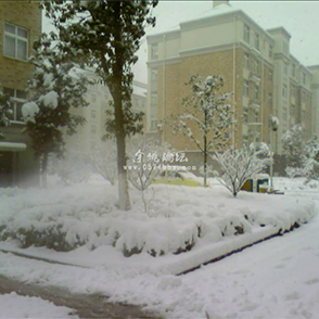 老照片 余姚08年大雪
