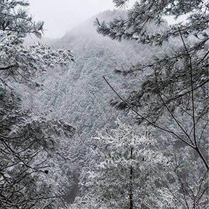 四明山徒步赏雪