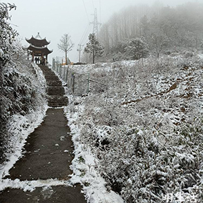 山上的雪景很美