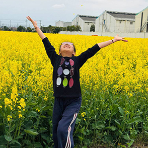 相约春日里的一抹金