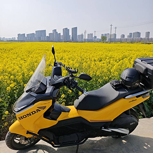 杭州湾新浦踏板车半日游