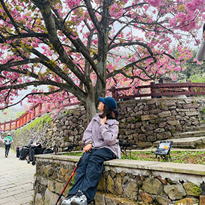 相约徒步 共赴樱花之旅