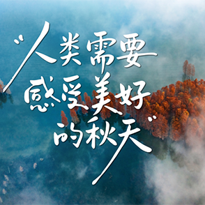 山里过个秋！四明山最美的季节来了