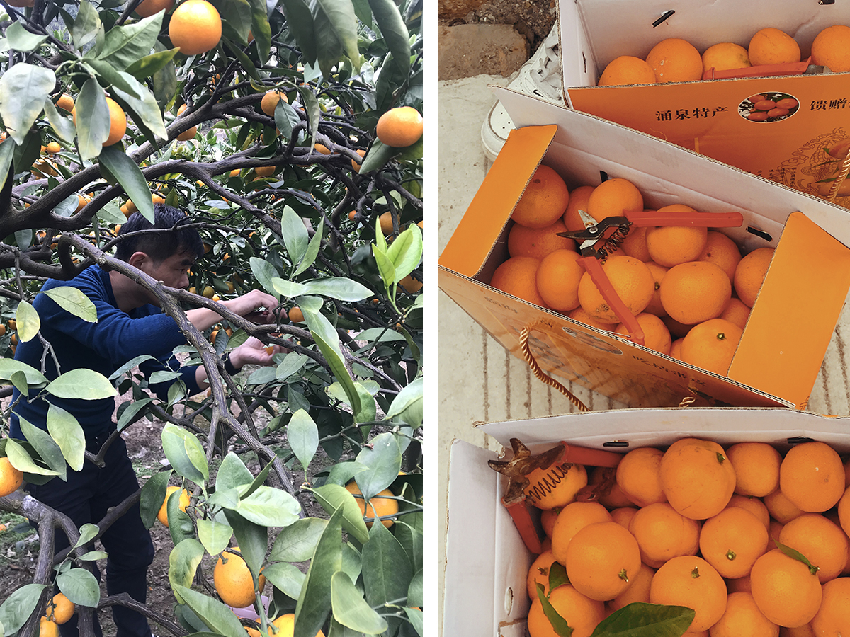 IMG_71762.jpg IMG_71762.jpg