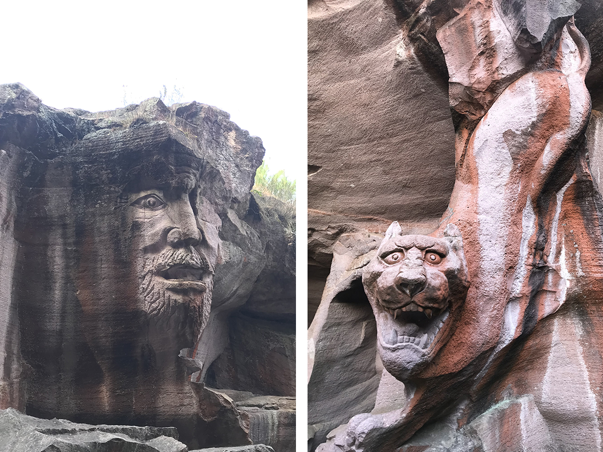 IMG_729544444.jpg IMG_729544444.jpg