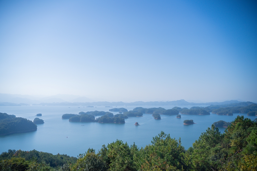 DSC010165.jpg DSC010165.jpg