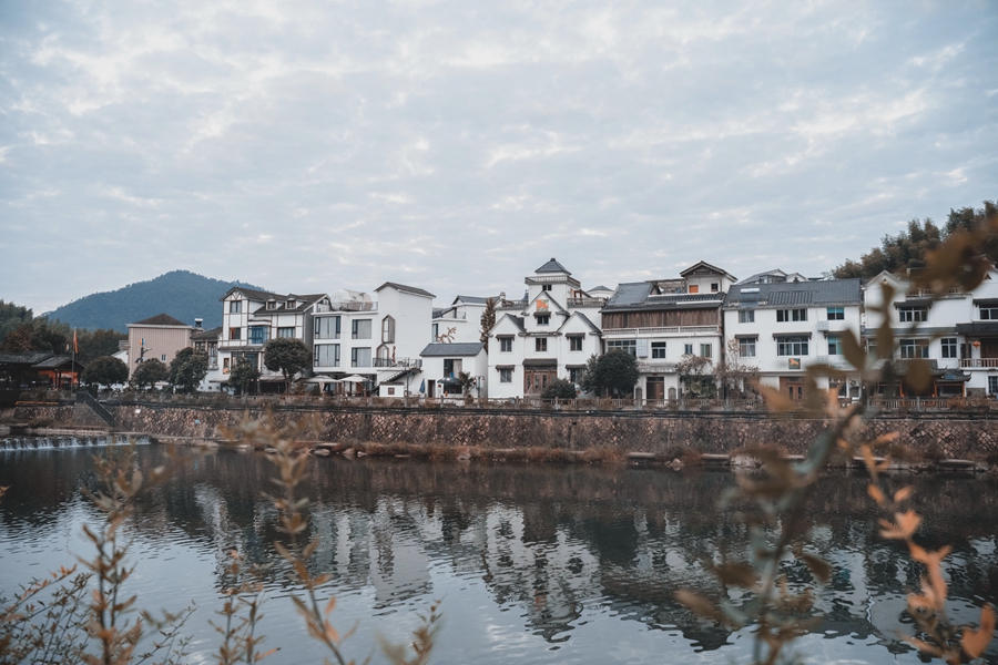 DSC00990.jpg DSC00990.jpg