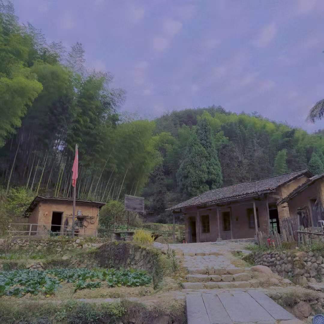 f37b44039194bee438b91d0e64f8188.jpg f37b44039194bee438b91d0e64f8188.jpg