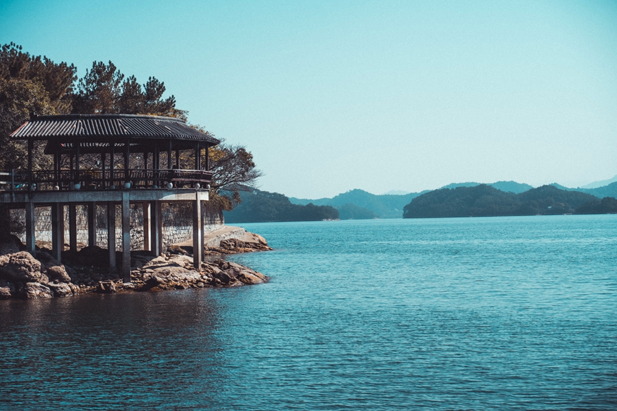 DSC01241.jpg DSC01241.jpg