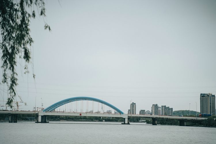 DSC09742.jpg DSC09742.jpg