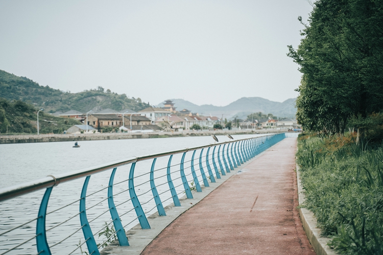 DSC09752.jpg DSC09752.jpg