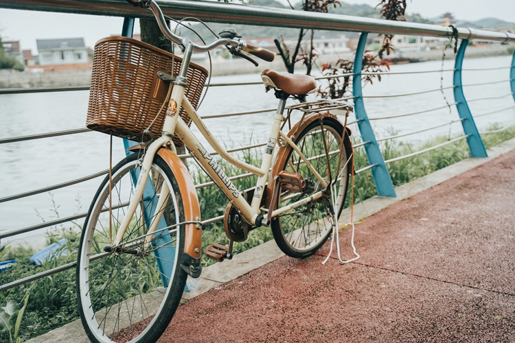 DSC09768.jpg DSC09768.jpg