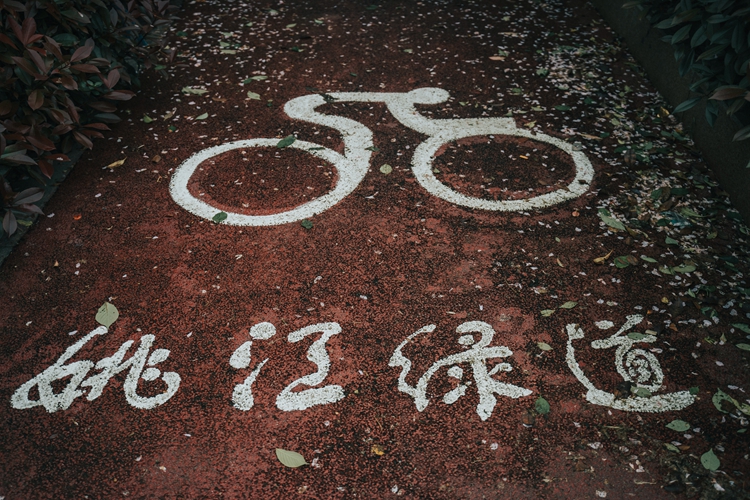 DSC09766.jpg DSC09766.jpg