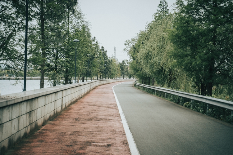 DSC09785.jpg DSC09785.jpg