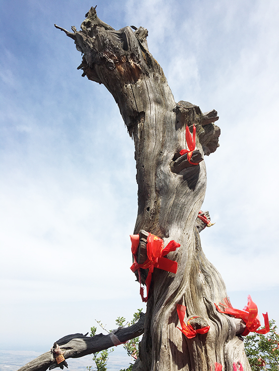 IMG_9325.jpg IMG_9325.jpg