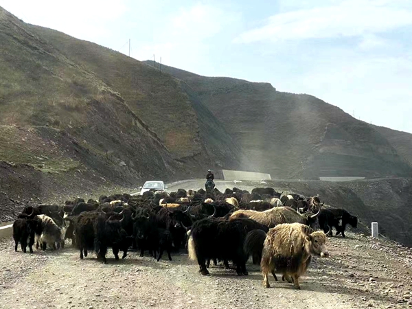 微信图片_20210611095029.jpg 微信图片_20210611095029.jpg