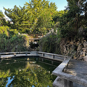 余姚这个老小区内的风景真不错