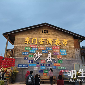 流放岭南——海豚3600公里