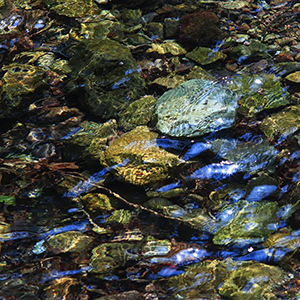 游走在嵊州的山野和小镇