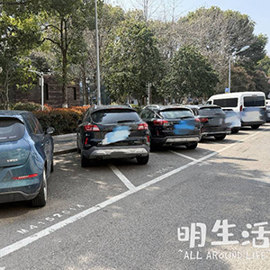 一整排车都这样停 真“霸气”