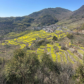 小踏板“樟家田”村一日游