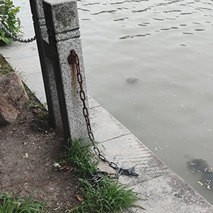 这里的护栏栏索 该修修了