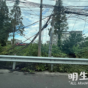 这条路上的电线怎么了？